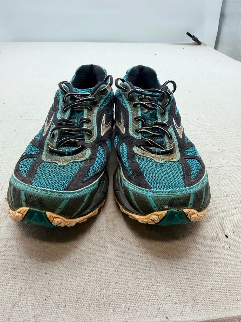 Brooks Cascadia 12